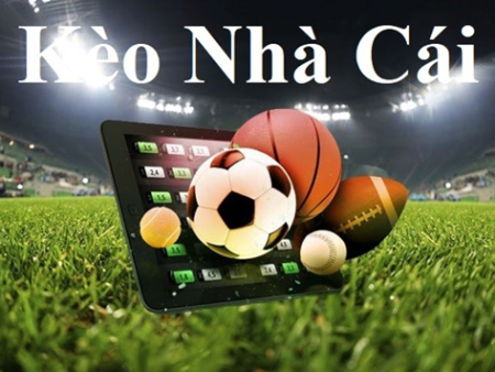 8xBet kết quả xổ số quảng ngãi