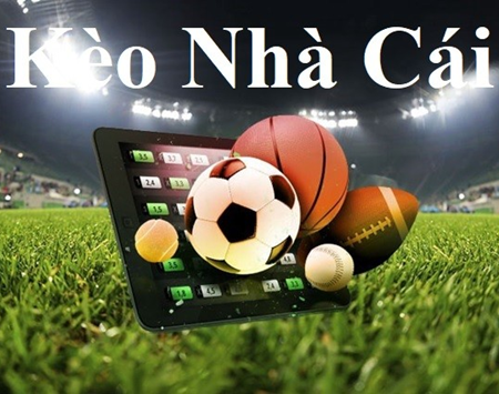 8xBet kết quả xổ số quảng ngãi