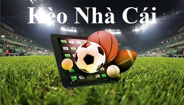 8xBet kết quả xổ số quảng ngãi