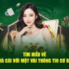 Xì tố và vận may trong game đánh bài 855bong